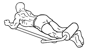 Leg Curls